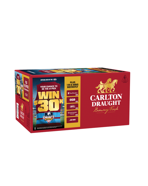 Carlton Draught 24 × 375mL bottles